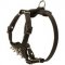 Durable Spiked Leather Puppy English Pointer Harness