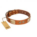 "Perfect Blend" FDT Artisan Tan Leather English Pointer Collar 1 1/2 inch (40 mm) wide