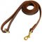 Stitched Leather English Pointer Leash for Training and Walking