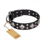 "Smart Geometry" FDT Artisan Studded Leather English Pointer Collar