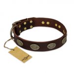"Chocolate kiss" FDT Artisan Leather English Pointer Collar with Old Bronze Look Oval Plates
