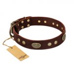 "Old-fashioned Glamor" FDT Artisan Brown Leather English Pointer Collar with Old Bronze Look Plates and Circles