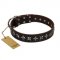 "Stars of Glory" FDT Artisan Brown Leather English Pointer Collar for Comfortable Walking