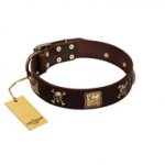 "Crazy Pirate" FDT Artisan Brown Leather English Pointer Collar with Old Bronze-Plated Skulls and Plates