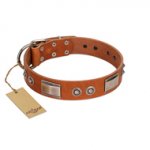 "Pawsy Glossy" FDT Artisan Exclusive Tan Leather English Pointer Collar 1 1/2 inch (40 mm) wide