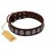 "Charming Circles" FDT Artisan Brown Leather English Pointer Collar with Silver-like Studs