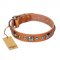 "Era of Future" FDT Artisan Handcrafted Tan Leather English Pointer Collar with Decorations