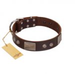 "Stone Stars" Stylish Handmade FDT Artisan Brown Leather English Pointer Collar