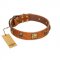 "Knights Templar" FDT Artisan Tan Leather English Pointer Collar with Skulls and Crossbones Combined with Squares