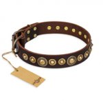 "Ancient Warrior" FDT Artisan Fancy Leather English Pointer Collar with Old-Bronze Plated Decorations