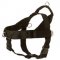 Nylon English Pointer Harness with Patches