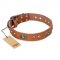 "Stunning Dress" FDT Artisan Tan Leather English Pointer Collar with Old Bronze Look Plates and Studs