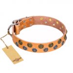 "Precious Sparkle" FDT Artisan Handcrafted Tan Leather English Pointer Collar