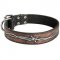Handpainted Leather English Pointer Collar with Barbed Wire Drawing