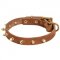 Walking Designer Leather English Pointer Collar with Brass Spikes