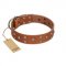 "Enchanted Skulls" FDT Artisan Tan Leather English Pointer Collar with Chrome Plated Skulls