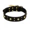 "Heavy Metal" Leather English Pointer Collar with Skulls and Studs 1 1/2 inch (40 mm)