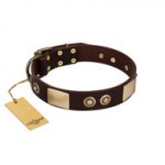 "Sense of Freedom" FDT Artisan Brown Leather English Pointer Collar with Old Bronze-Plated Studs and Plates
