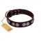 "High and Mighty" FDT Artisan Classy Brown Leather English Pointer Collar with Embellished Brooches