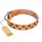 "Precious Sparkle" FDT Artisan Handcrafted Tan Leather English Pointer Collar