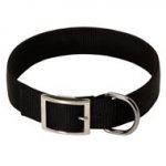 2 Ply Nylon English Pointer Collar