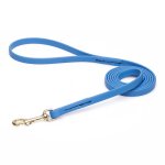 Amazing Blue Biothane English Pointer Leash for Walking, Tracking