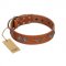"Splendid Armor" Premium Quality FDT Artisan Tan Designer English Pointer Collar with Shields and Stars