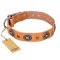 "Twinkle Twinkle" FDT Artisan Incredible Studded Tan Leather English Pointer Collar