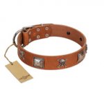 "Amorous Escapade" Embellished FDT Artisan Tan Leather English Pointer Collar with Chrome Plated Crossbones and Plates