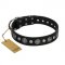 "Vintage Elegance" FDT Artisan Black Leather English Pointer Collar with Engraved Brooches and Studs