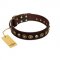 "Street Fashion" FDT Artisan Brown Leather English Pointer Collar Adorned with Circles and Skulls