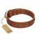 "Silver Century" Fashionable FDT Artisan Tan Leather English Pointer Collar with Silver-Like Plates