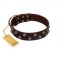 "Blossom Jewel" FDT Artisan Brown Leather English Pointer Collar with Two Rows of Silver-like Studs with Engraved Flowers