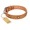 "Feast of Luxury" FDT Artisan Tan Leather English Pointer Collar with Old Bronze Look Circles