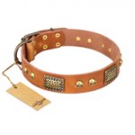 "Saucy Nature" FDT Artisan Tan Leather English Pointer Collar with Old Bronze Look Plates and Skulls
