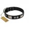 "Grand Wear" FDT Artisan Black Leather English Pointer Collar with Shining Plates and Spiked Studs