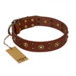 "Unfailing Charm" FDT Artisan Studded Tan Leather English Pointer Collar