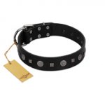 "Mr. Elegance" Designer FDT Artisan Black Leather English Pointer Collar with Silver-Like Studs