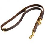 Multifunctional Leather English Pointer Leash