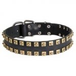2 Rows Brass Studded Leather English Pointer Collar for Walking and Training