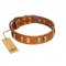 "Olive Slice" FDT Artisan Tan Leather English Pointer Collar with Engraved and Smooth Plates