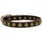 Leather English Pointer Collar with Brass Dotted Circles for Fashion Walking