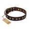 "Bronze Sheen" FDT Artisan Leather English Pointer Collar with Brass-Plated Studs