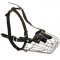 Wire Basket English Pointer Muzzle for Comfortable Walking and Training