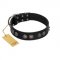 "Silver Medallions" Mod FDT Artisan Black Leather English Pointer Collar with Round Plates