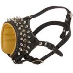 Royal Spiked and Studded Leather English Pointer Muzzle