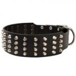 Extra Wide 4 Rows Studded Leather English Pointer Collar
