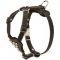 Studded Leather English Pointer Puppy Harness