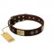 "Bow-Wow Effect" FDT Artisan Brown Leather English Pointer Collar with Plates and Ornate Studs