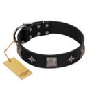 "Black Cavalier" Handmade FDT Artisan Black Leather English Pointer Collar with Silver-Like Stars and Large Plates
